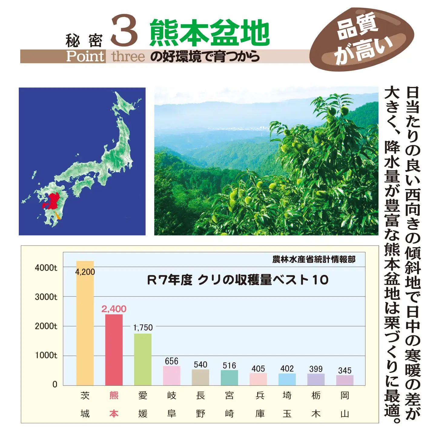 【先行予約】【2026年10月中旬より順次発送】くまさんの焼きグリ【食べ比べセット】 計約800g (約400g×2種) 和栗 焼き栗 利平 おやつ 和菓子 食べ比べ 【くまさんの焼きグリ】[AYDQ001]