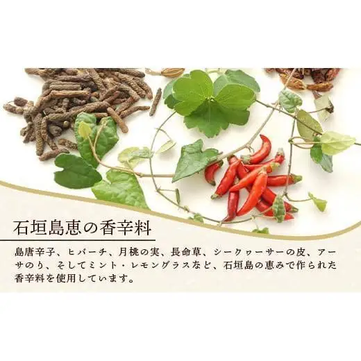 石垣島｢十五番地｣の手作りハム・ソーセージ ギフトセットB（定番4種）