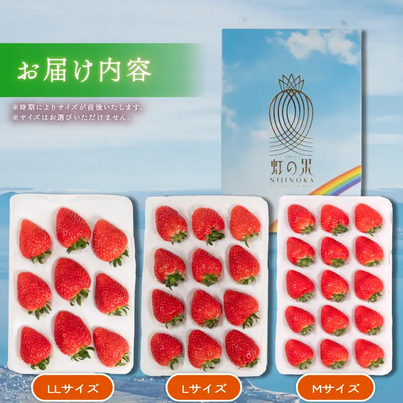 虹の果 夏 いちご 1箱 400g ~ 300g (M~LLサイズ) 冷蔵 贈答用