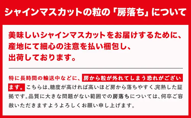 【全2回】晴れの国定期便 桃1kg マスカット1.3kg 定期便