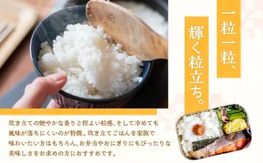 【 令和8年産 】 静岡県産 コシヒカリ 精米 5kg （ 5kg × 1袋 ） こしひかり 弁当 お米 米 こめ コメ 白米 白飯 飯 ご飯 オニギリ おにぎり 【 2026年8月下旬～2027年8月下旬まで順次発送予定 】