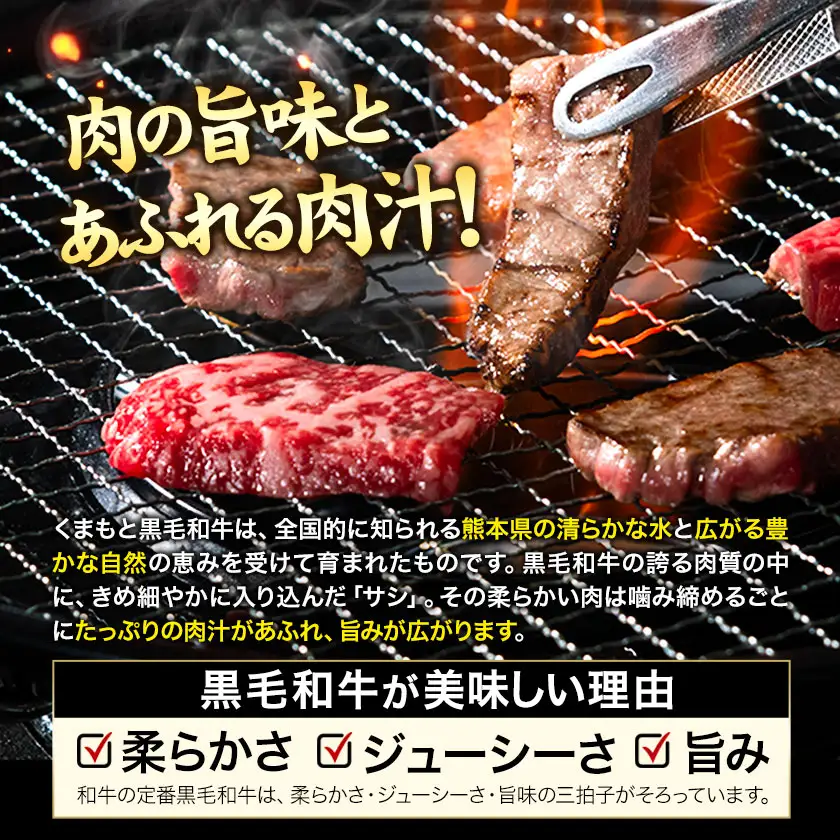 ふるさと納税 A4～A5等級 黒毛和牛 切り落とし 上 ロース 焼肉