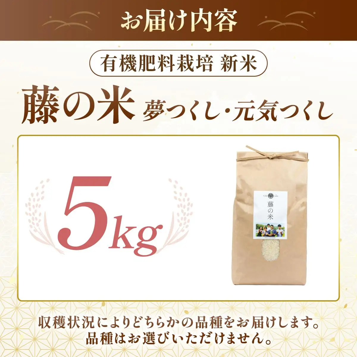 【令和7年度産】藤の米(ふじのまい) 5kg【フジノ農園】