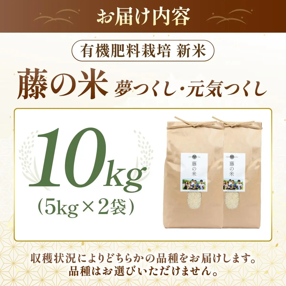 【令和7年度産】藤の米(ふじのまい) 10kg(5kg×2袋)【フジノ農園】