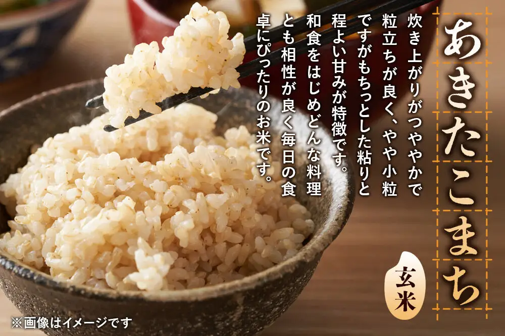 《令和8年産 新米受付》《定期便11ヶ月》【玄米】極上秋田銘柄米 あきたこまち 5kg