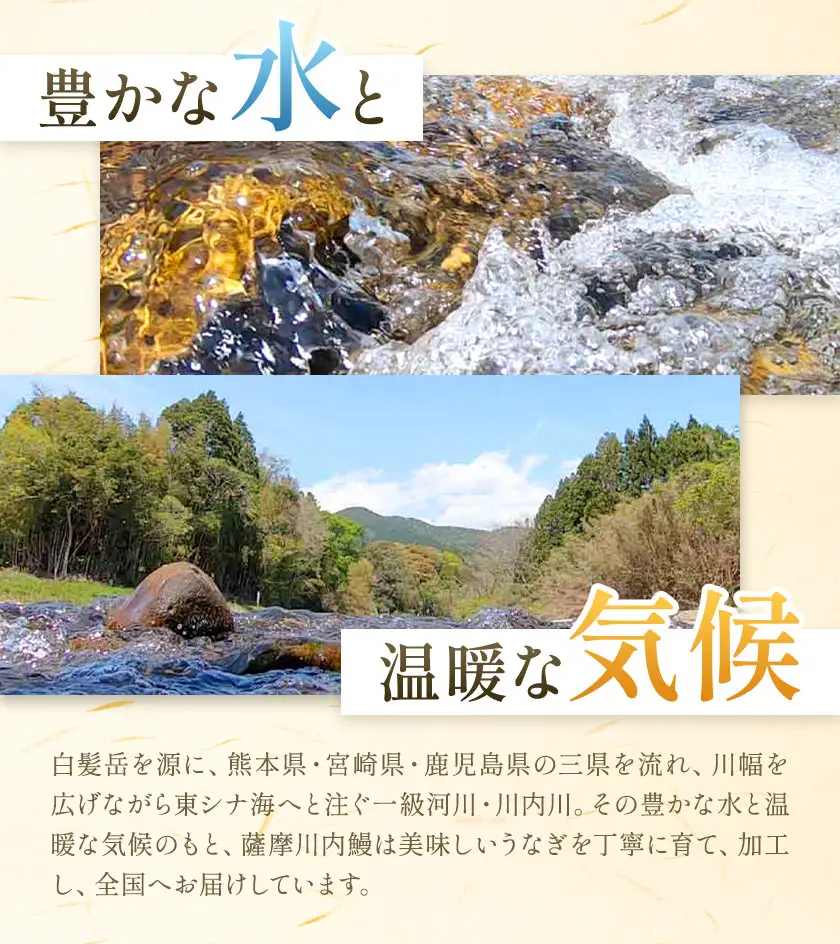 【父の日】 鰻 うなぎ 蒲焼き 2尾 (1尾約140g) タレ 山椒 付き 株式会社薩摩川内鰻《6月中旬-6月下旬頃出荷》