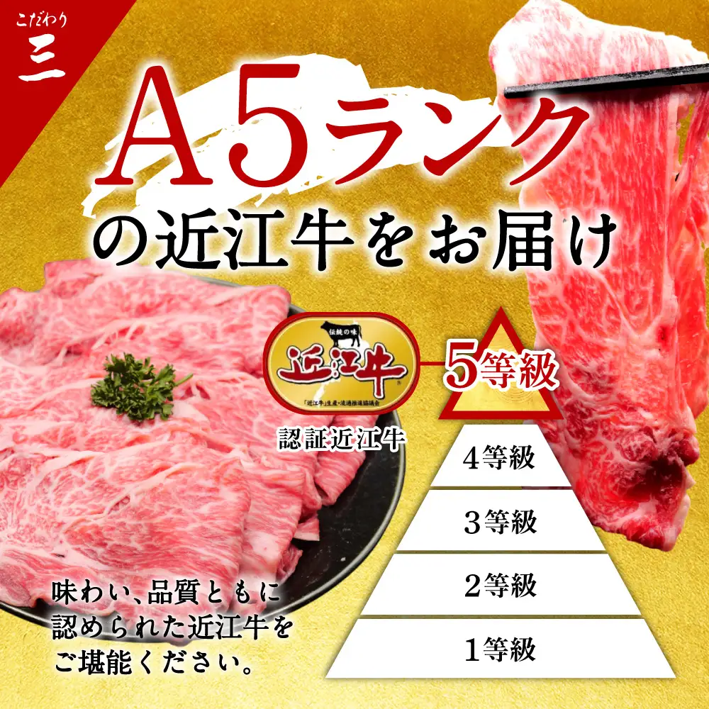 近江牛ロースしゃぶしゃぶ用500g 有限会社常松商店 滋賀県 東近江市 C-D29 近江牛 和牛 A5 牛肉 ロース しゃぶしゃぶ 霜降り 500g 国産 滋賀 肉