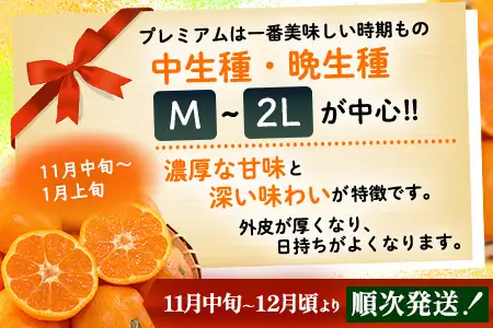 【2026年11月中旬頃～12月頃配送予定】プレミアム黒酢みかん 約5kg (M / Lサイズいずれか ) のし対応 温州みかん 柑橘 B-910