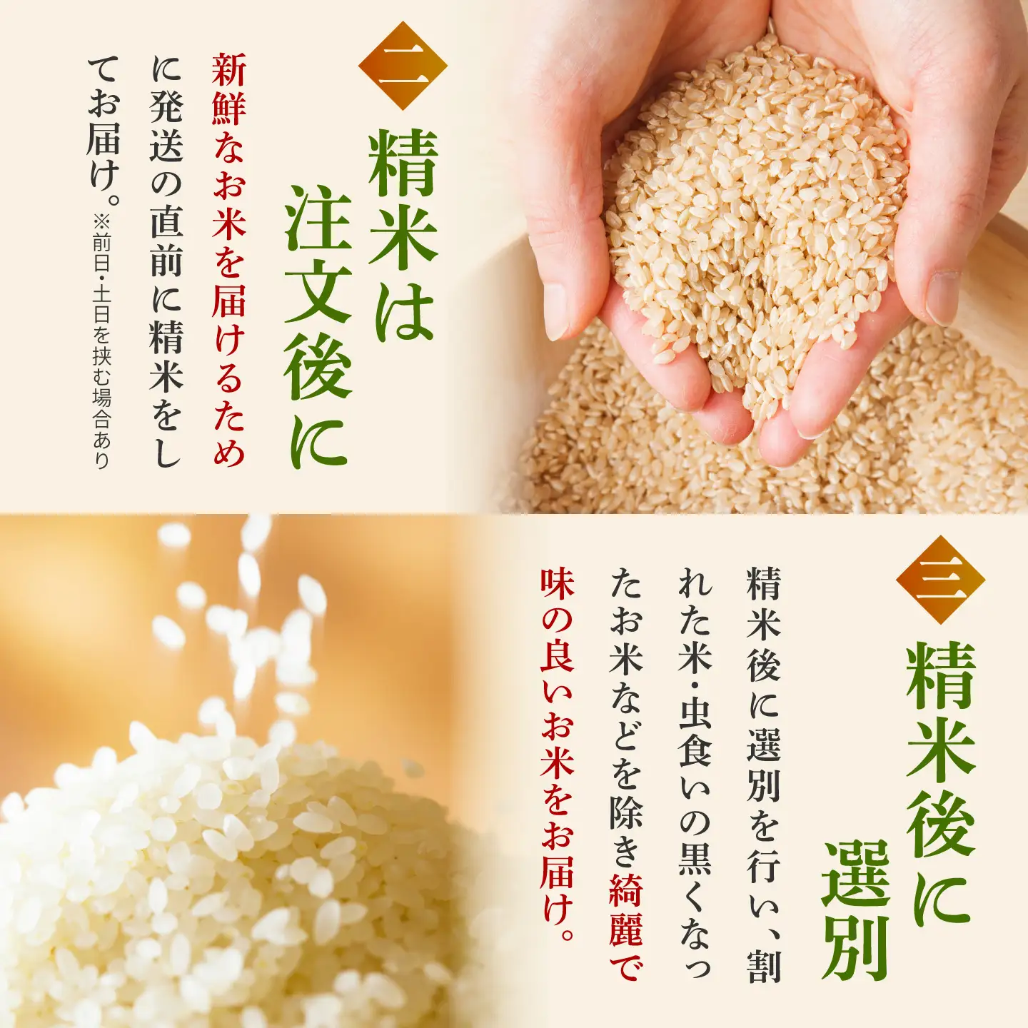 【令和7年産】ひなたまる 10kg（5kg×2）吉野ヶ里町 / 株式会社増田米穀[FBM047]