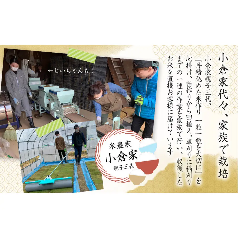 【令和８年産　新米予約 】【生産者直送】【定期便１２ヶ月】  南魚沼産こしひかり 無洗米5kg×全12回　合計60kg　オグライスファーム＜コシヒカリ 農家直送＞【定期便 お米 米】【2026年10月中旬頃から受付順に発送予定】