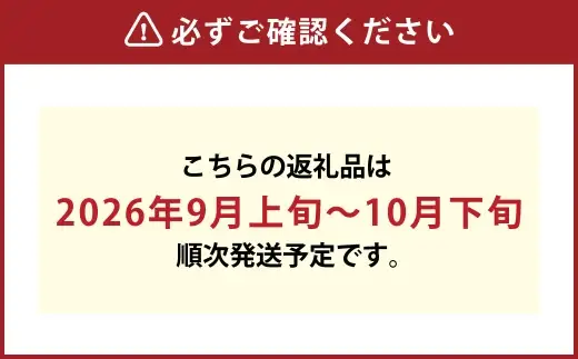 岡山県産 桃太郎ぶどう 2房 （ 1房480g以上 ） 露地栽培 果物 くだもの 果実 フルーツ 葡萄 ぶどう ブドウ 国産 皮ごと 【 2026年9月上旬～10月下旬発送予定 】
