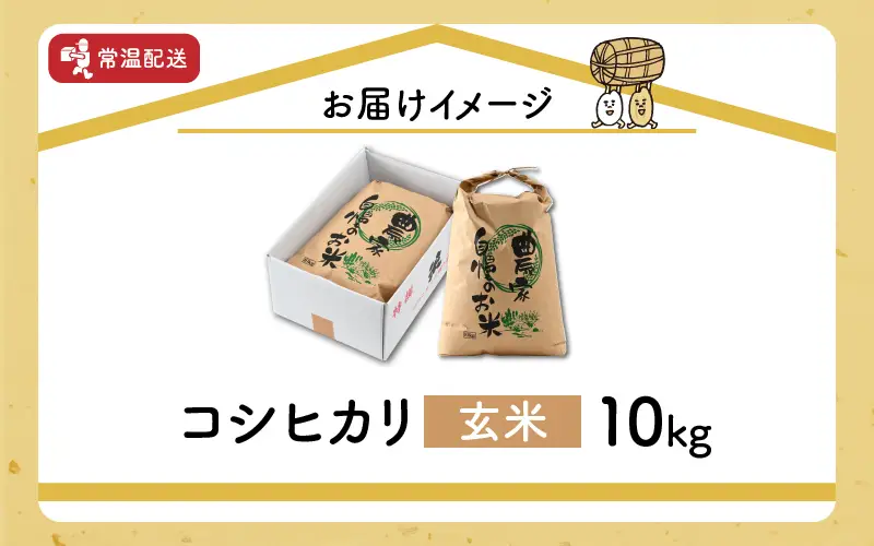 令和8年産 梅花藻が群生する清流で育てたコシヒカリ（玄米 10kg×1袋）※2026年9月下旬以降順次発送予定 [B-040029]
