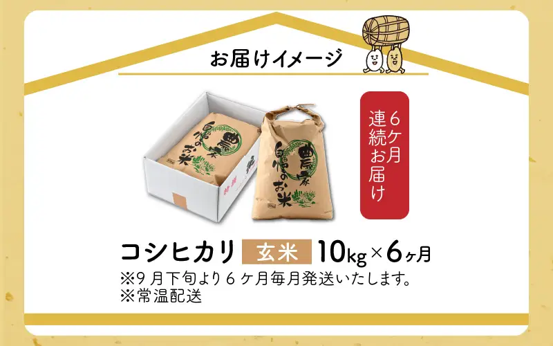 令和8年産 梅花藻が群生する清流で育てたコシヒカリ（玄米 10㎏）6か月定期便 計60kg ※2026年9月下旬以降順次発送予定[F-040006]