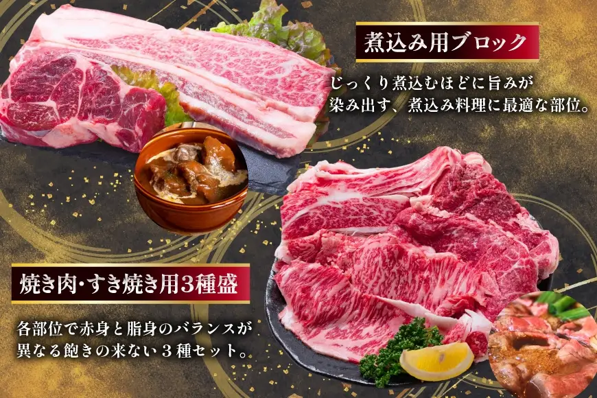 AJ671 【12回定期便】 長崎和牛 プレミアムコース 