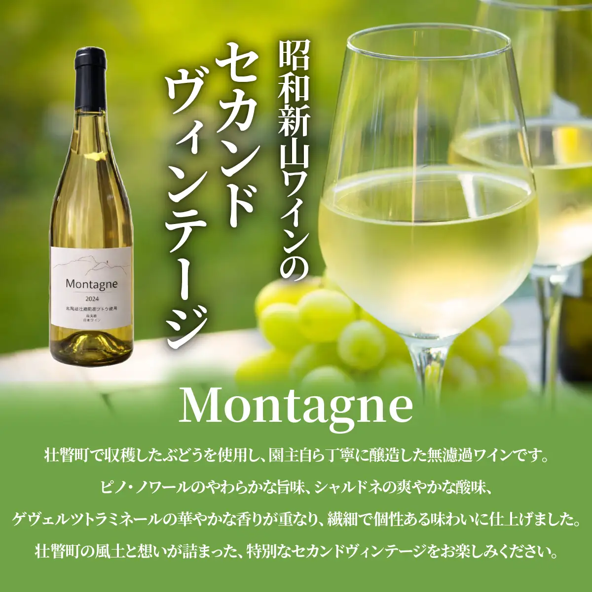 昭和新山ワイン YAMANOBE BLANC 2023(ヤマノベブラン）、Montagne 2024 無濾過(モンターニュ）白ワイン 辛口 750ml 各1本セット SBTQ014