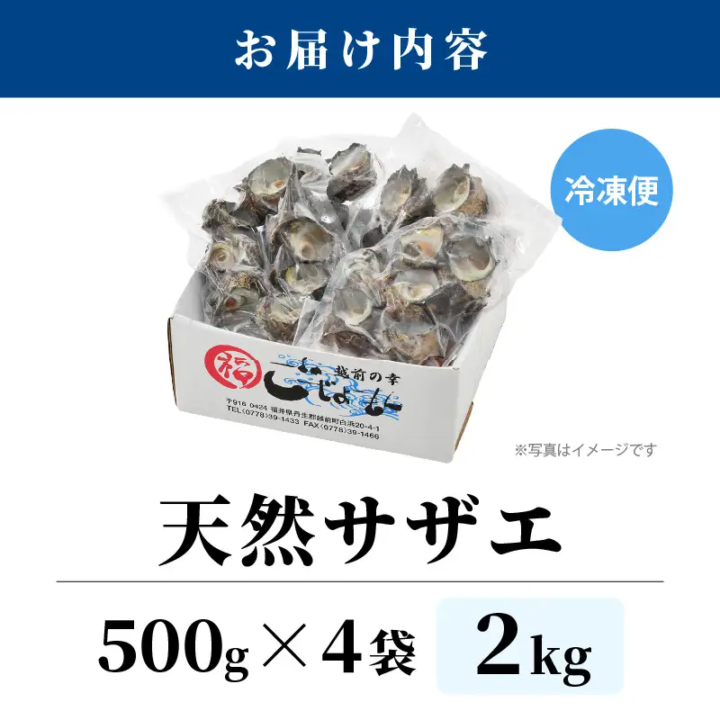 【先行予約】越前町産 天然 サザエ 2kg （500g×4袋）【2026年6月中旬より順次発送】【サザエ 海鮮】 [e15-a066]