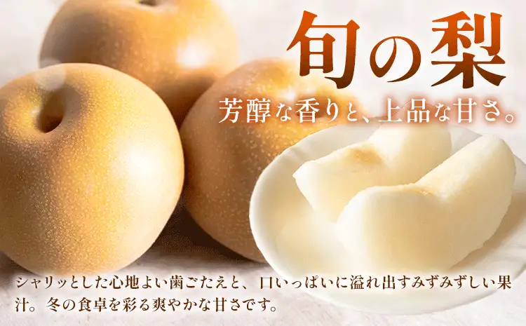 【定期便】旬のフルーツ定期便 岡山のﾌﾙｰﾂ 定期便 Aコース 4回定期便 岡山県産 桃 シャインマスカット ニューピオーネ 梨 《7月上旬-12月末頃出荷》岡山県 笠岡市 フルーツ 旬 果物 ぶどう 梨 マスカット お取り寄せ