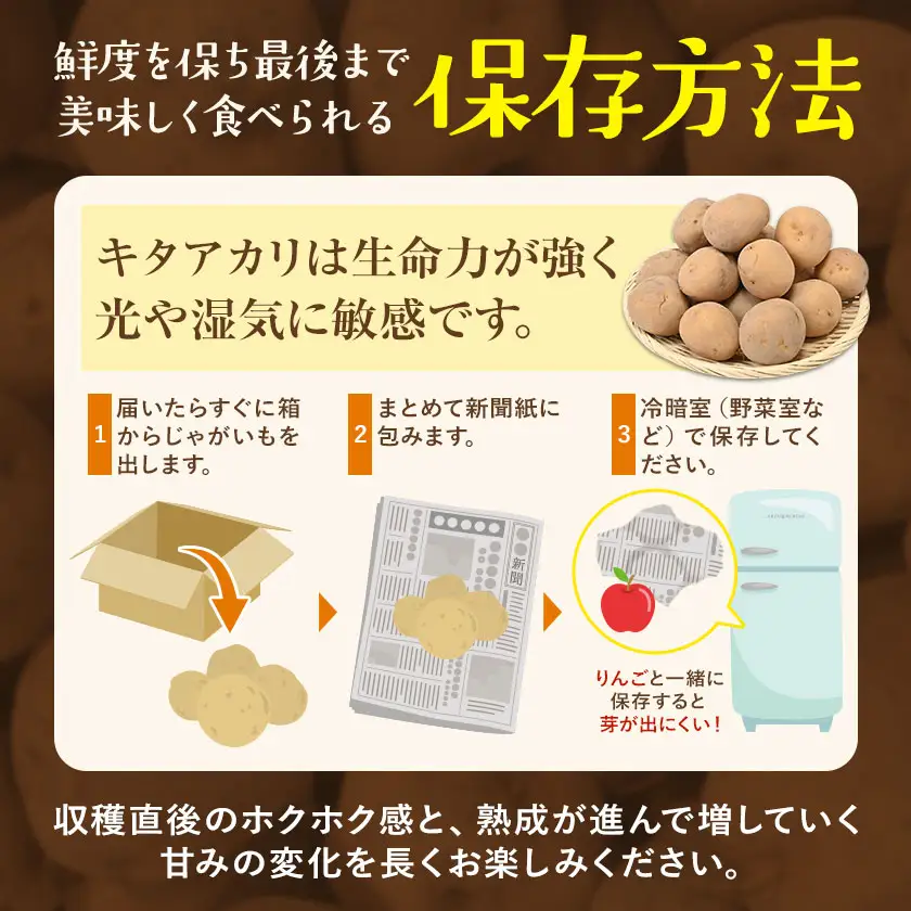 北海道産じゃがいも キタアカリ 10kg 高橋賢三 《2026年10上旬-11月上旬出荷》 