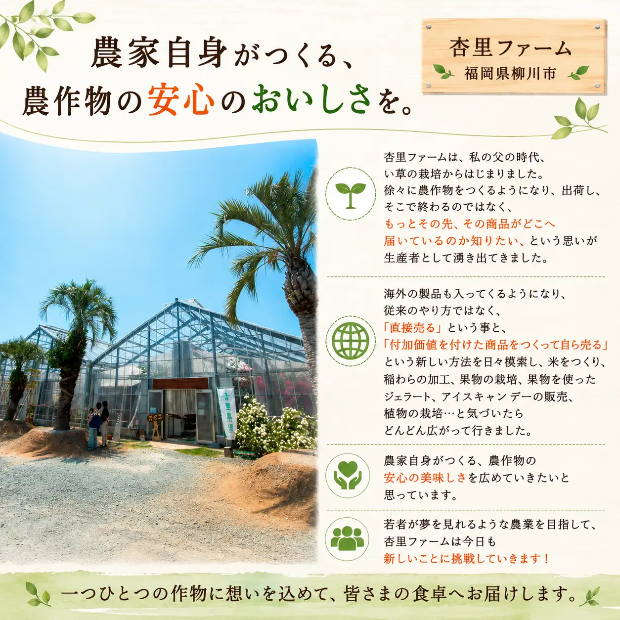とうもろこし 10-12本セット 柳川市産 トウモロコシ