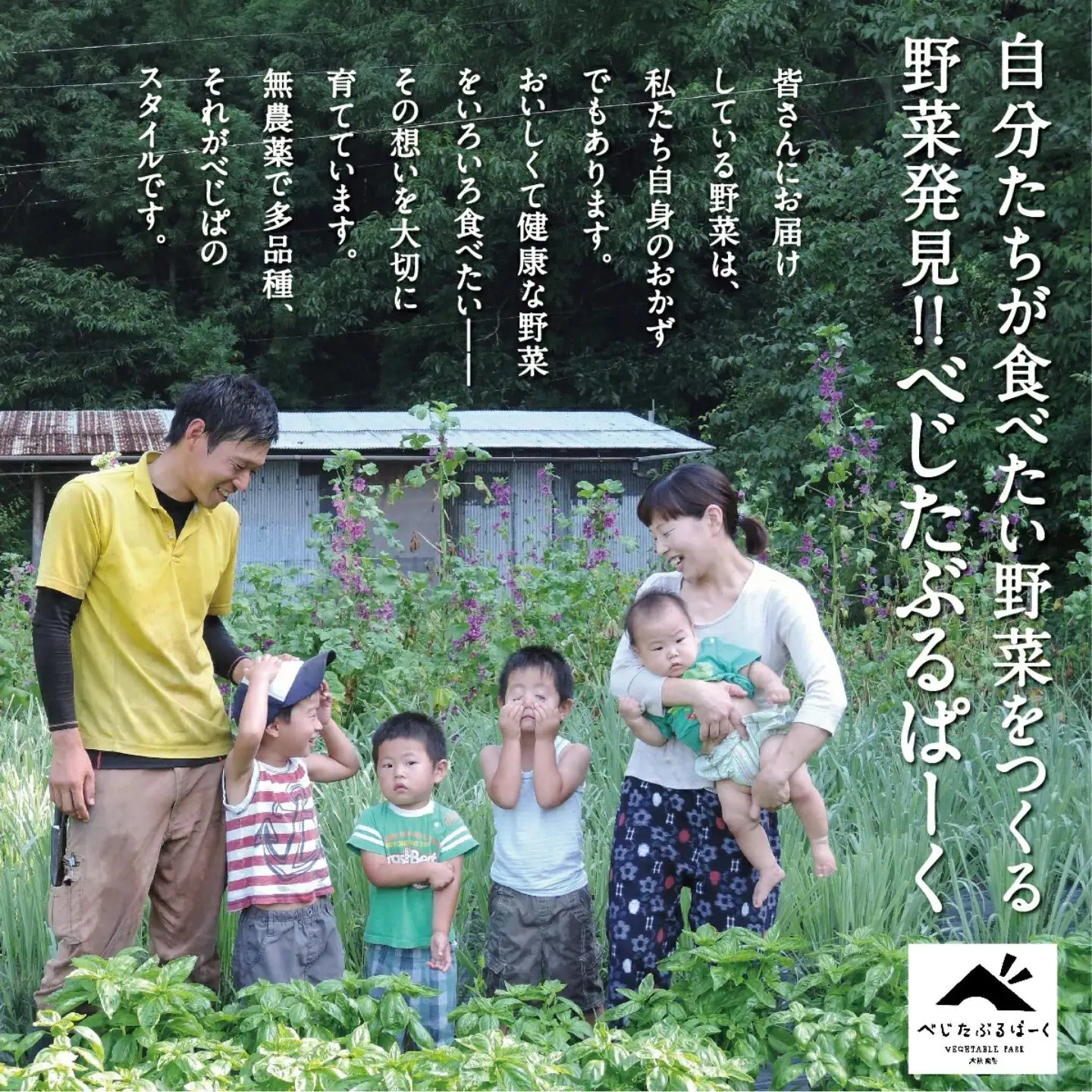 [定期便 6回] 【大阪能勢産】 《農家直送》 べじたぶるぱーくの旬の新鮮野菜詰合せ Sセット (5種類) | 6回(隔月)  定期便 6ヶ月 定期 野菜詰め合わせ 野菜 農薬 化学肥料不使用 新鮮 産地直送 季節 旬 | 大阪府 能勢町 送料無料