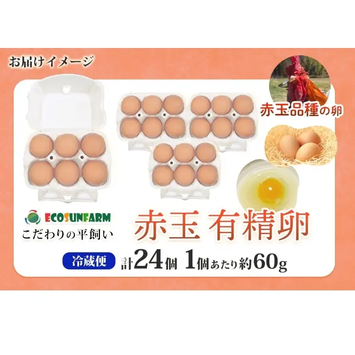 エコサンファーム 平飼い 赤玉有精卵 24個 赤玉 有精卵 こだわり 国産 鶏卵 鶏 発酵飼料 たまご かけご飯 料理 スイーツ お取り寄せ 産地直送 朝食 埼玉県 蓮田市