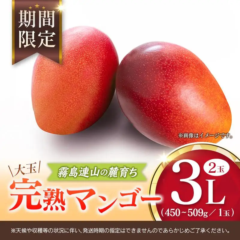 宮崎 樹上完熟 マンゴー 3Lサイズ×2玉 霧島連山の麓育ち 宮崎県産 トロピカル フルーツ お取り寄せ 果物 旬