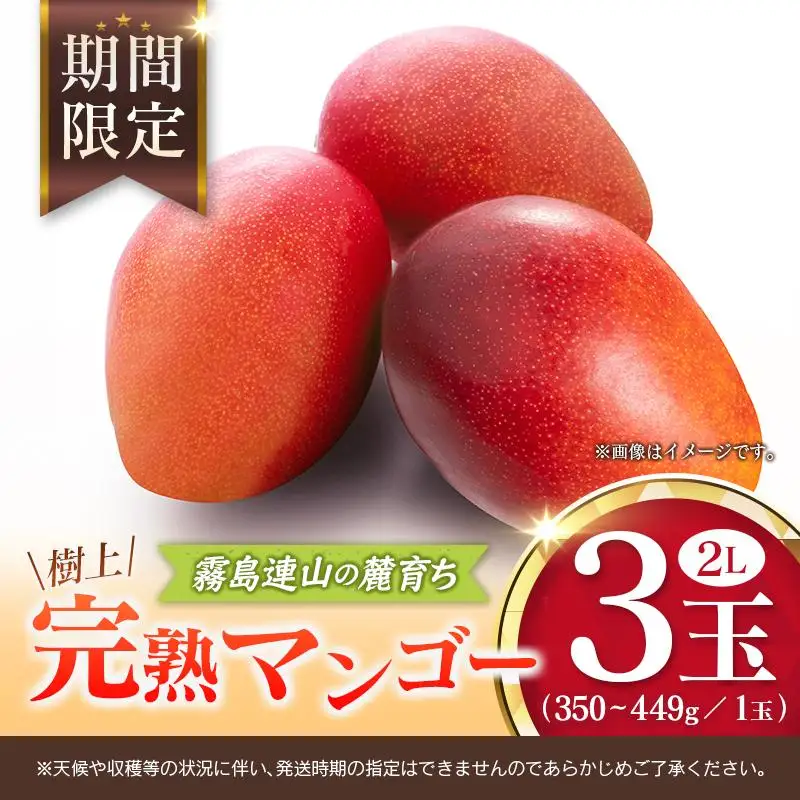 宮崎 樹上完熟 マンゴー 2Lサイズ×3玉 霧島連山の麓育ち 宮崎県産 トロピカル フルーツ お取り寄せ 果物 旬