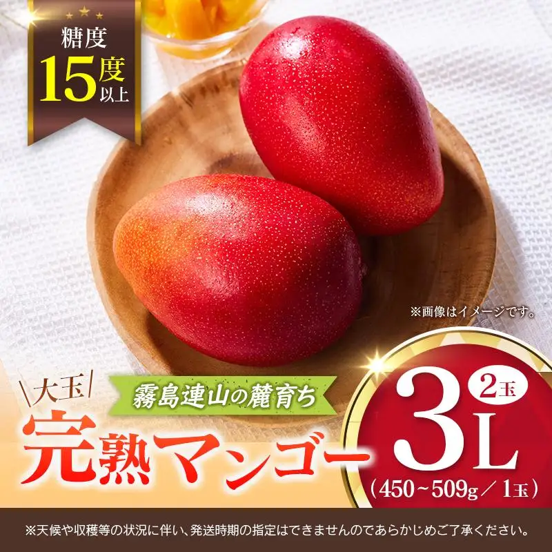 《甘い!!糖度15度以上》 宮崎 樹上完熟 マンゴー 3Lサイズ×2玉 霧島連山の麓育ち 宮崎県産 トロピカル フルーツ お取り寄せ 果物 旬