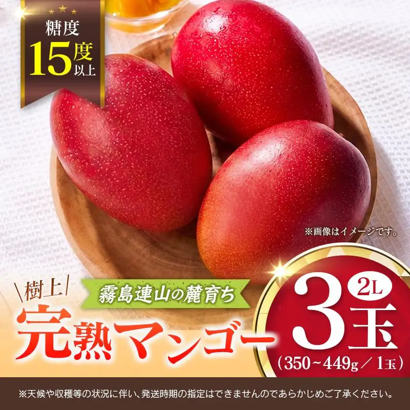 《甘い!!糖度15度以上》 宮崎 樹上完熟 マンゴー 2Lサイズ×3玉 霧島連山の麓育ち 宮崎県産 トロピカル フルーツ お取り寄せ 果物 旬