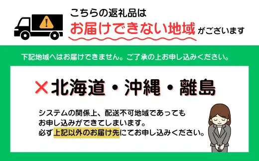 B435.【A4～A5】博多和牛サーロインステーキ約600g（150g×4枚）【博多和牛】