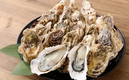 【指定日時必須】 戸石町産 殻付き牡蠣 約4kg（約40個／加熱用） 【2026年12月上旬～2027年3月下旬発送予定】 牡蠣 カキ かき 殻付き 国産 長崎県産 養殖 養殖牡蠣 養殖真牡蠣 ミネラル 栄養 美容 健康 加熱 牡蠣料理
