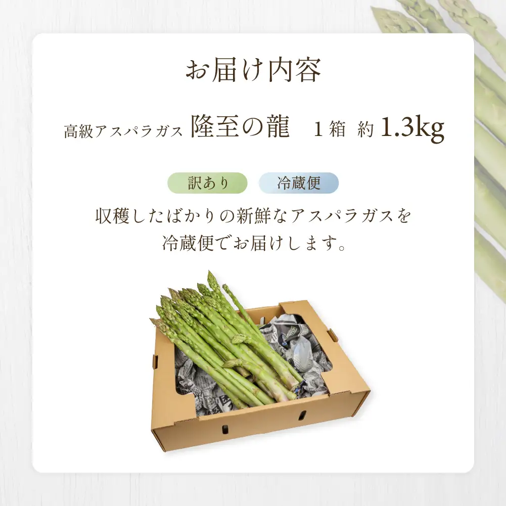 （2026年5月中旬以降から順次発送）訳ありアスパラガス 1.3kg 【期間限定】【119-7】