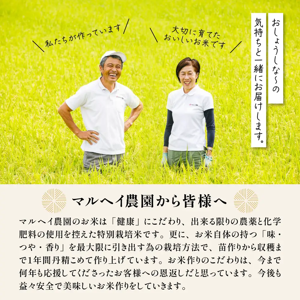 【 令和8年産 】 特別栽培米 雪若丸 計6kg ( 2kg×3袋 ) 