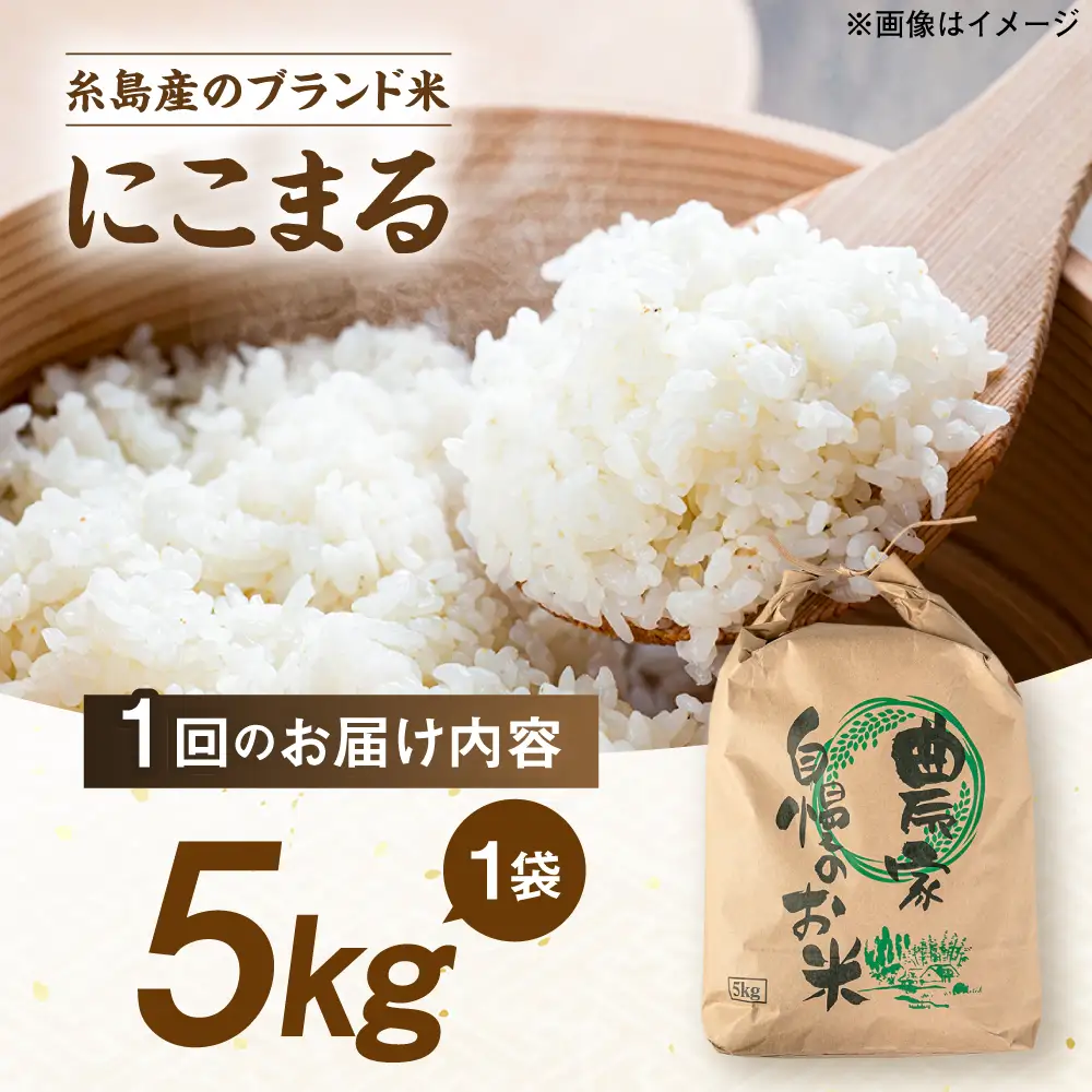 【全12回定期便】 にこまる 玄米品質1等米 白米 5kg 糸島市産 糸島市 / 糸島の恵み コメ こめ ご飯[AGR010]