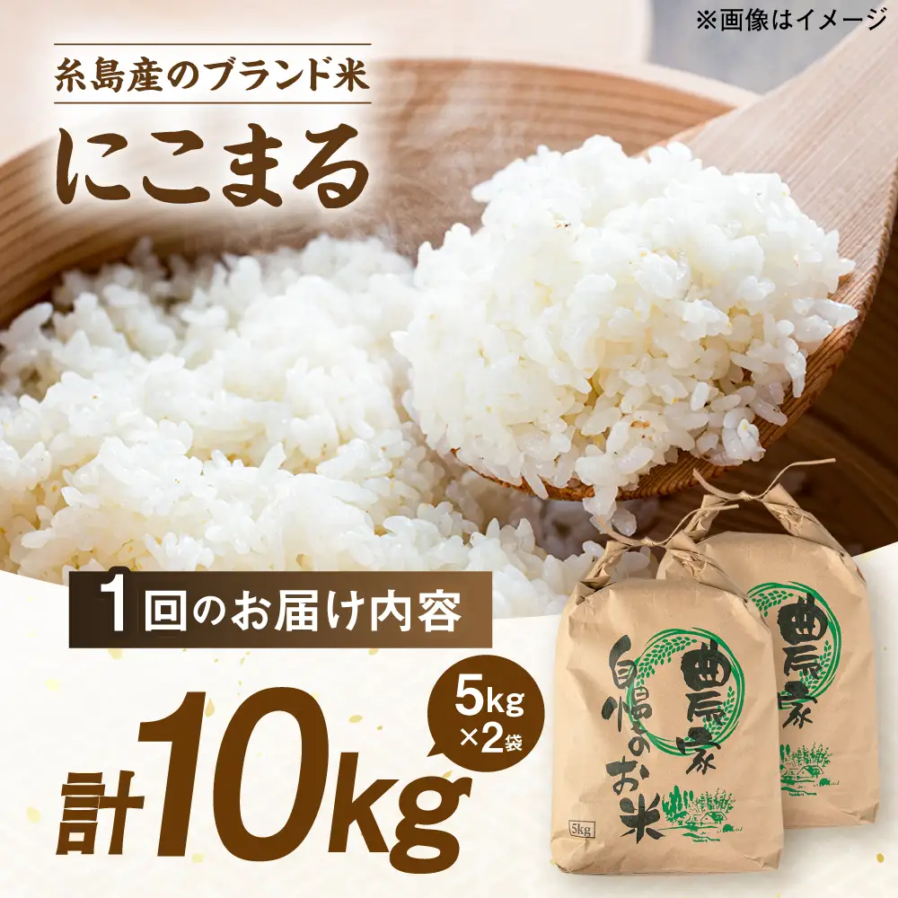 【全6回定期便】 にこまる 玄米品質1等米 白米 10kg 糸島市産 糸島市 / 糸島の恵み コメ こめ ご飯[AGR012]