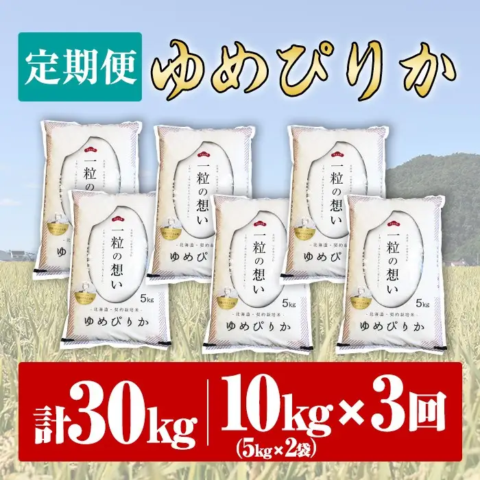 【令和8年産・先行予約受付】《 定期便・全3回 》上士別の生産者がつくるゆめぴりか ( 10kg×3回・計30kg) 【2026年11月以降順次発送】北海道 士別市産 米 お米 白米 北海道産 北海道米 ゆめぴりか 特A 一等級 コメ 単一原料米 定期便 10kg 30kg【天塩の恵み上士別】【E7084-08】