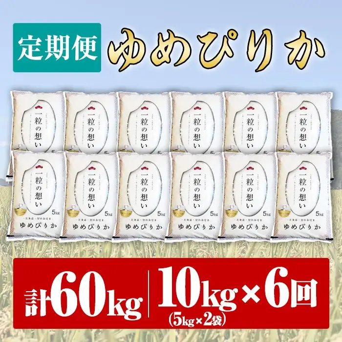 【令和8年産・先行予約受付】《 定期便・全6回 》上士別の生産者がつくるゆめぴりか ( 10kg×6回・計60kg) 【2026年11月以降順次発送】北海道 士別市産 米 お米 白米 北海道産 北海道米 ゆめぴりか 特A 一等級 コメ 単一原料米 定期便 10kg 60kg【天塩の恵み上士別】【F7071-08】