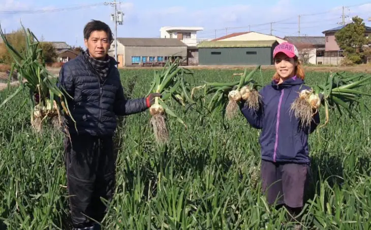 【完熟玉ねぎ予約】中山さんちから直送　淡路島たまねぎ10㎏　◆R8.6月下旬～発送