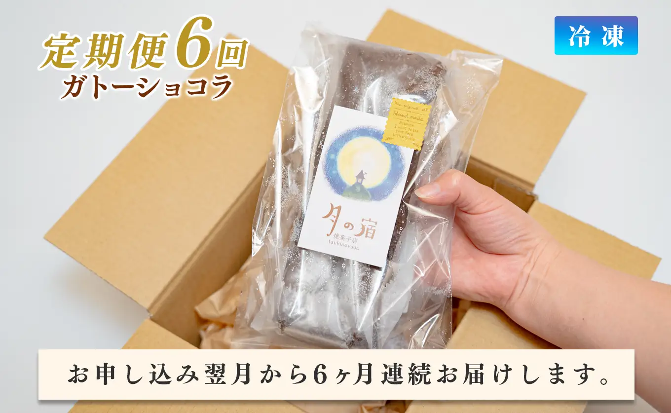 濃厚 ガトーショコラ 1本 18cm 定期便 6回 なめらか 小麦粉不使用 チョコレート ケーキ
