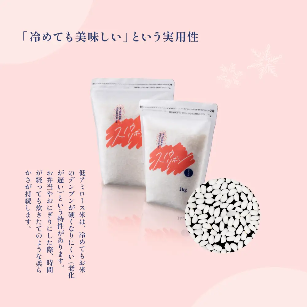 【2025年産米】スノウリボン（ゆきむすび）5kg×1袋【13-53】