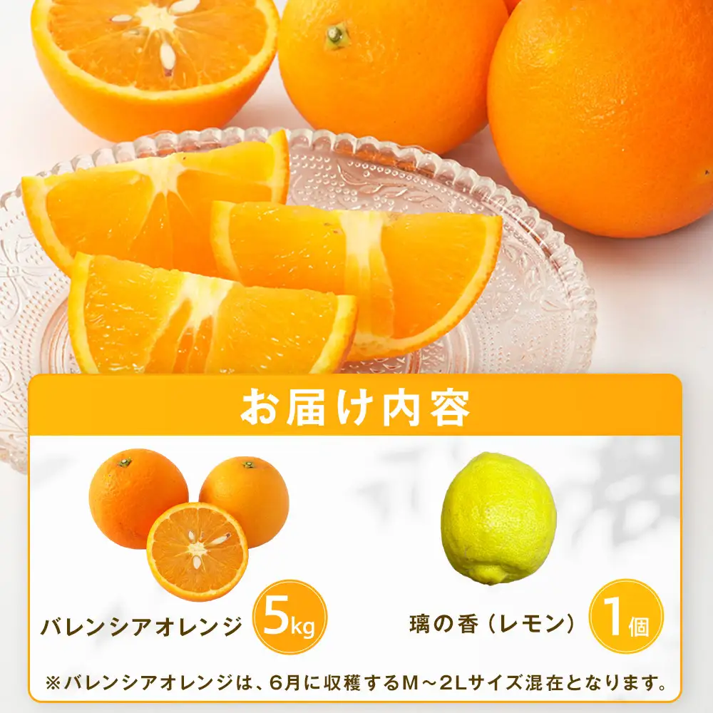 バレンシアオレンジ５ｋｇ＋璃の香（レモン）１個【2026年6月以降発送】