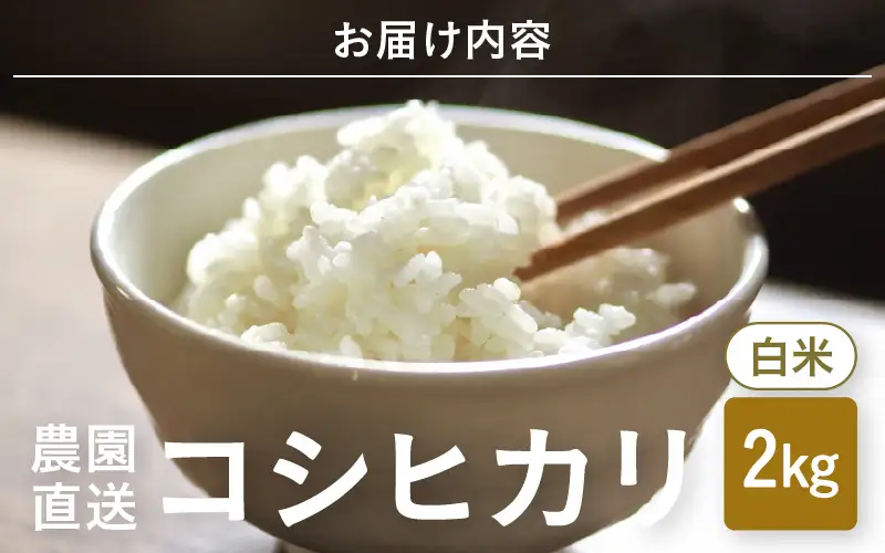 先行予約 コシヒカリ 白米 2kg ×1袋 精米 ブランド米 2026年10月上旬以降順次発送 [A-8989]
