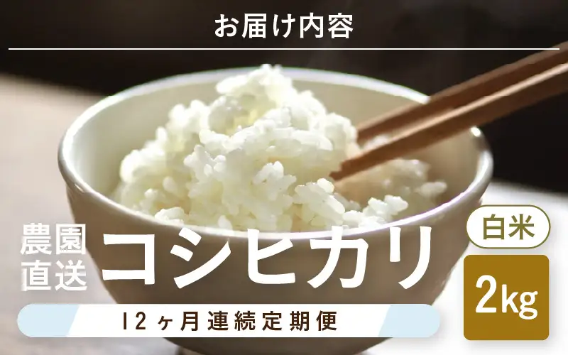 先行予約 定期便 12ヶ月連続お届け コシヒカリ 2kg (1袋) × 12回 計24kg 白米 ブランド米 2026年10月上旬以降順次発送 [F-8914]