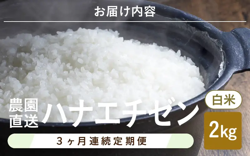 先行予約 定期便 3ヶ月連続お届け ハナエチゼン 2kg (1袋) × 3回 計6kg 白米 精米 ブランド米 2026年9月上旬以降順次発送予定 [A-8991]