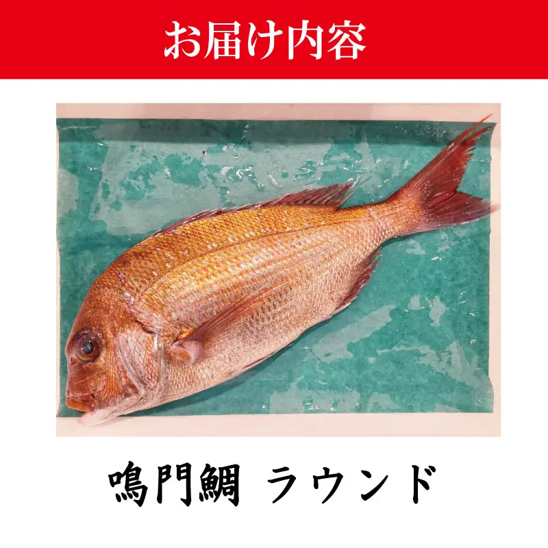 鳴門鯛 1kg ラウンド 1尾 鳴門鯛