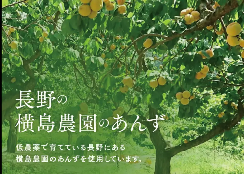 セミドライ 極撰 究極な半生杏子（100g×2袋） | あんず