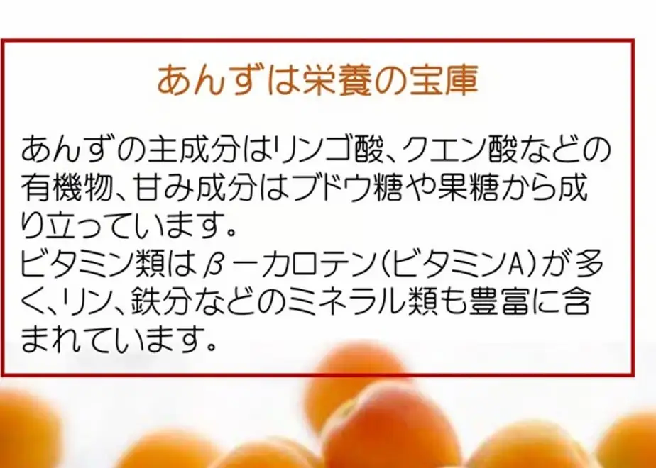 まるごとひんやり生あんず（冷凍あんず5個） | あんず