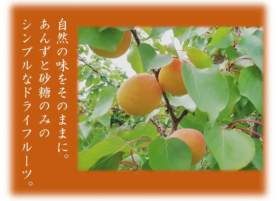 千曲の干し杏   120g （5袋） |  あんず