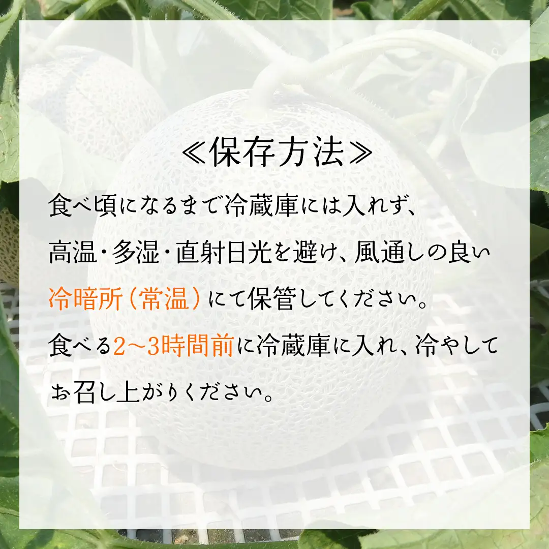【6月上旬頃より発送】茨城県産 青肉・赤肉メロンセット 秀品または優品 3Lまたは4Lサイズ×各1玉入