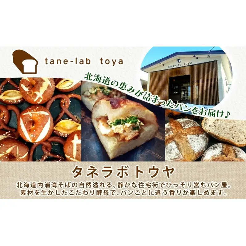 厚焼き フォカッチャ オリーブ×チーズ×ペッパー 1ホール パン 北海道産 小麦 自家製酵母 惣菜パン 菓子パン 朝食 軽食 手づくり 自家製 酵母 ベーカリー オリーブ チーズ ペッパー 冷凍 北海道 洞爺湖町